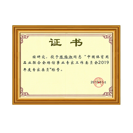 中國體育用品業聯合會場館事業專家工作委員會2019年度專家委員稱號 - 戴思樂科技集團有限公司