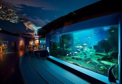 海洋館安裝恒溫除濕機的好處，除濕機需要具備哪些功能？