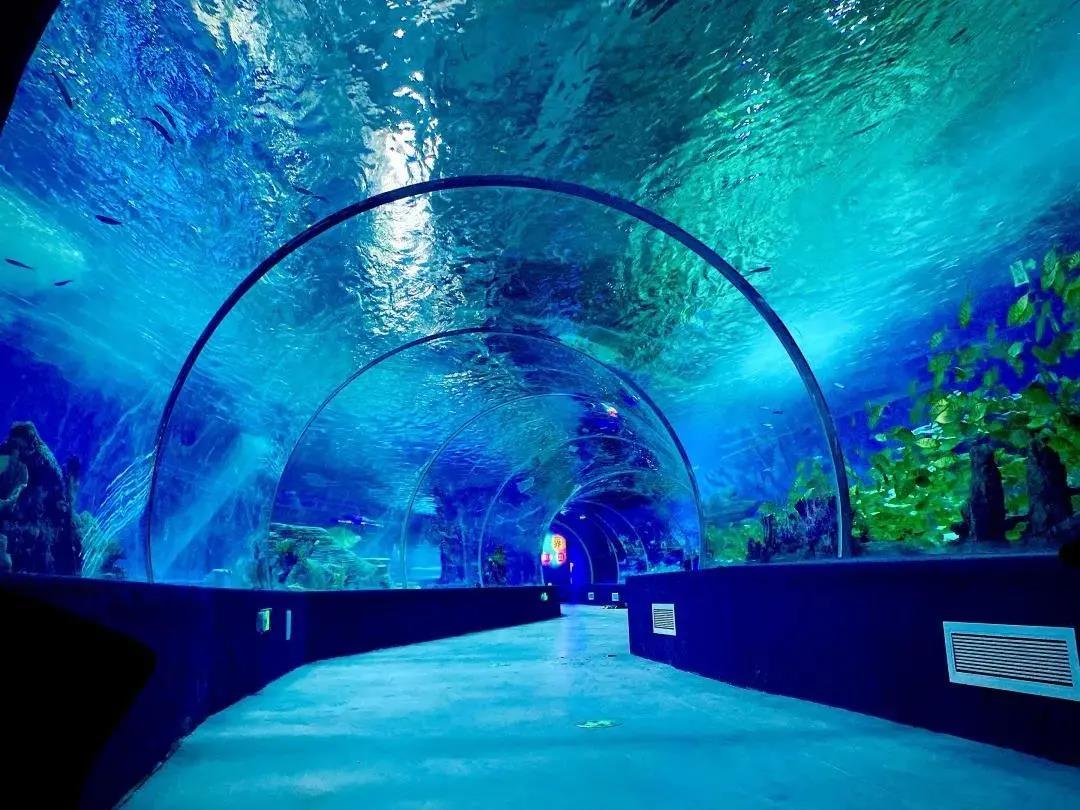 海洋館,游洋館水質處理