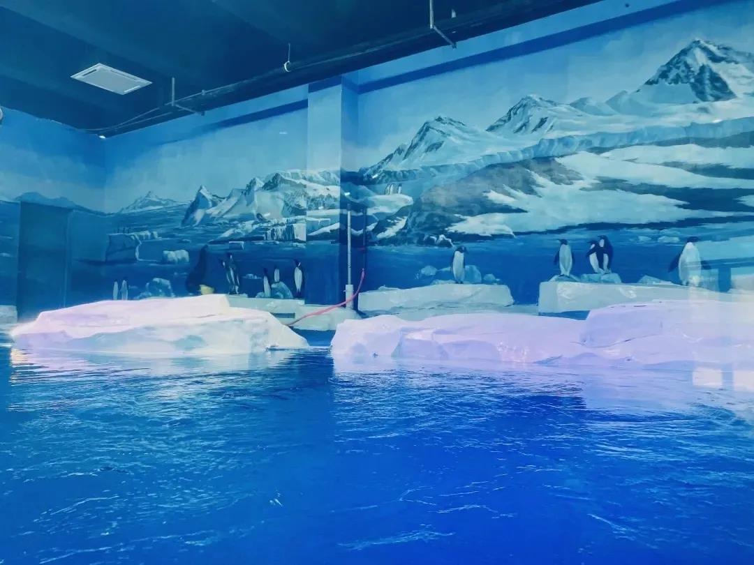 海洋館,游洋館水質處理