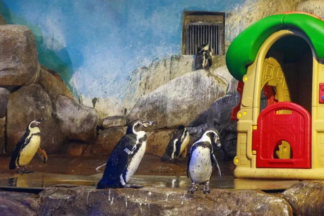 海洋館,游洋館水質處理