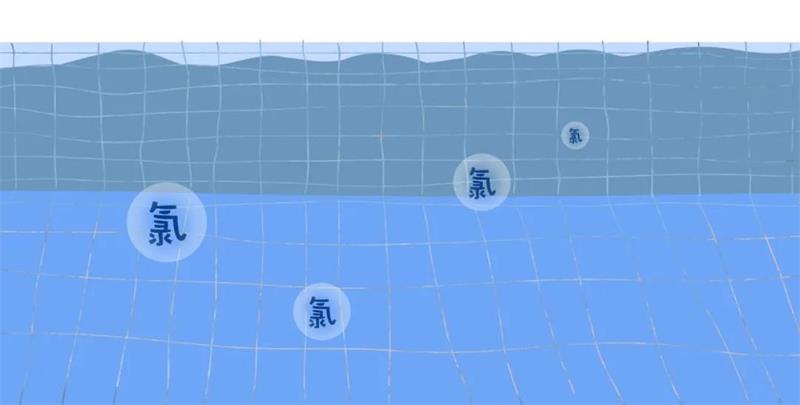 游泳池,游泳池水質指標,水質處理