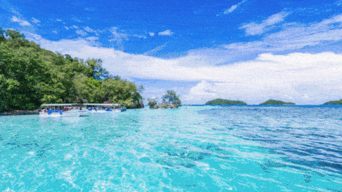 泳池設備,游泳池設備,泳池工程,戴思樂泳池 泳池設備,游泳池設備,泳池工程,戴思樂泳池