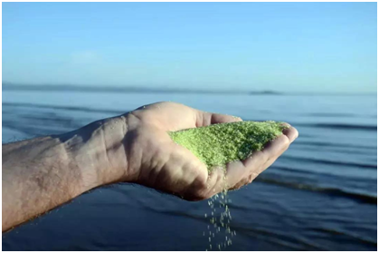 游泳池水質(zhì)處理,游泳池水質(zhì)處理標(biāo)準(zhǔn),游泳池水處理辦法 游泳池水質(zhì)處理,游泳池水質(zhì)處理標(biāo)準(zhǔn),游泳池水處理辦法