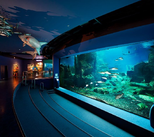 海洋館設計,海洋館設計要點,海洋館設計公司 海洋館設計,海洋館設計要點,海洋館設計公司
