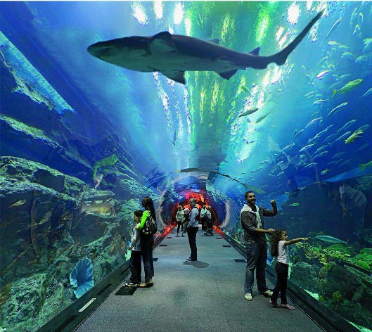 1594106756108999.jpg 小圖.jpg