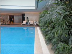 別墅建泳池或魚池，別糾結(jié)了，先來看看兩者的區(qū)別再決定！