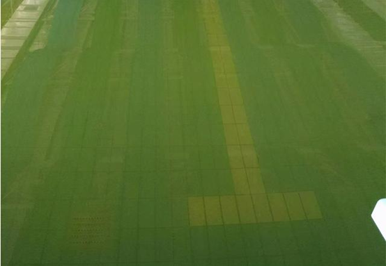 為什么游泳池的水會經常變綠？處理方法有哪些？