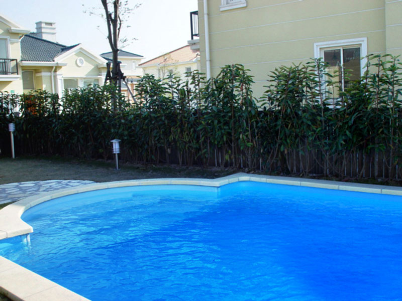 游泳池水龜,泳池水龜,泳池清潔水龜