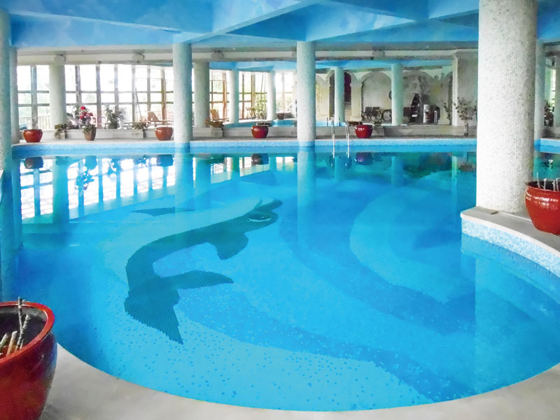 游泳池水處理設備,游泳池水處理系統,泳池水處理