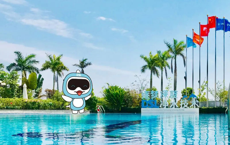 <b>別墅游泳池設備廠家哪家好？怎么選？</b>