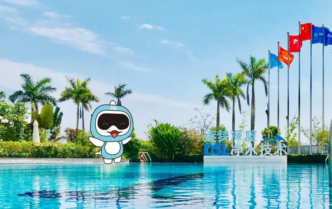 別墅游泳池設備,別墅游泳池水處理設備,別墅游泳池