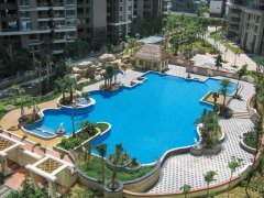 商用游泳池水質維護難？戴思樂讓您省心省力，客流再大也清澈！